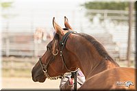 LC-Fair-2010_2427.jpg