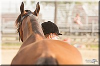 LC-Fair-2010_2428.jpg