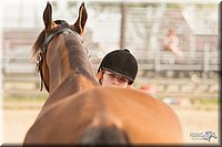 LC-Fair-2010_2429.jpg