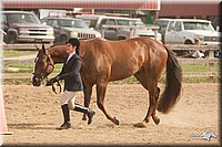 LC-Fair-2010_2433.jpg
