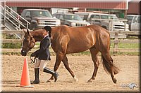LC-Fair-2010_2434.jpg