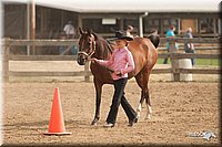 LC-Fair-2010_2442.jpg