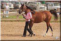 LC-Fair-2010_2444.jpg