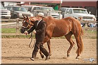LC-Fair-2010_2449.jpg