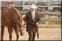 LC-Fair-2010_2451.jpg