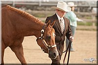 LC-Fair-2010_2455.jpg
