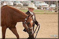 LC-Fair-2010_2456.jpg