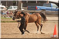 LC-Fair-2010_2463.jpg