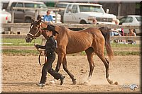 LC-Fair-2010_2465.jpg