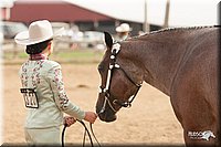 LC-Fair-2010_2499.jpg