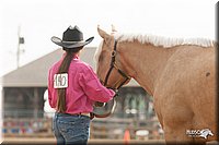 LC-Fair-2010_2506.jpg