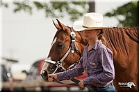 LC-Fair-2010_2508.jpg