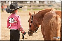 LC-Fair-2010_2510.jpg