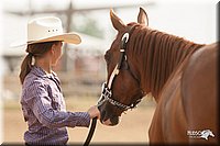 LC-Fair-2010_2511.jpg
