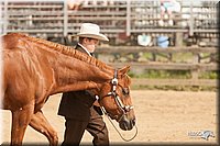 LC-Fair-2010_2522.jpg