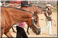 LC-Fair-2010_2527.jpg