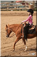 LC-Fair-2010_2599.jpg