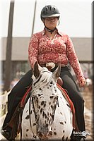 LC-Fair-2010_2647.jpg