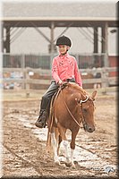 LC-Fair-2010_2666.jpg