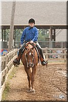 LC-Fair-2010_2680.jpg