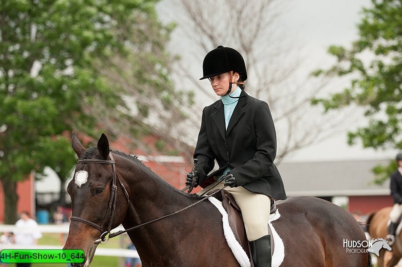 4H-Fun-Show-10_644.jpg