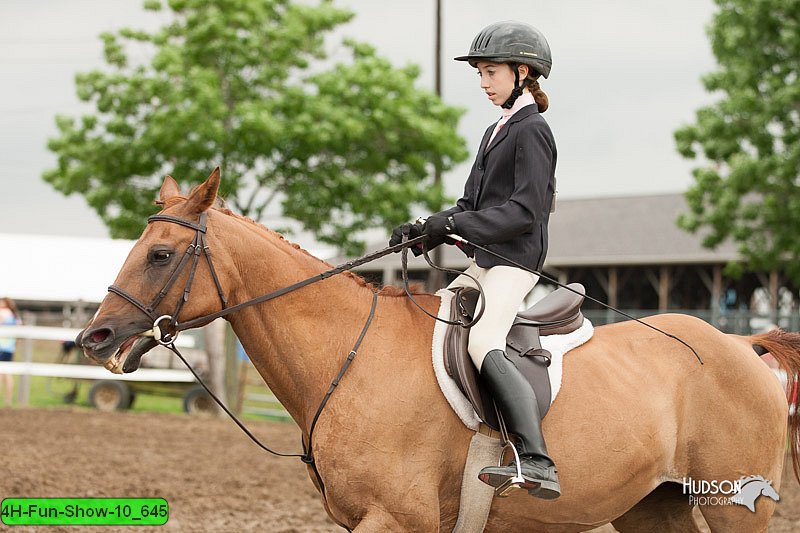 4H-Fun-Show-10_645.jpg