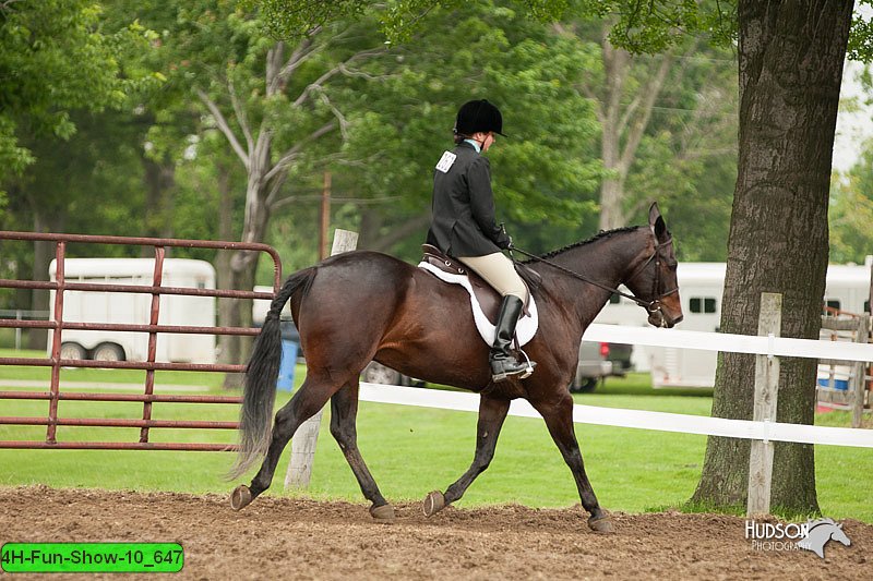 4H-Fun-Show-10_647.jpg