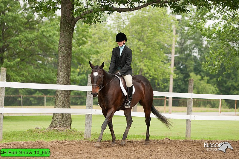 4H-Fun-Show-10_652.jpg