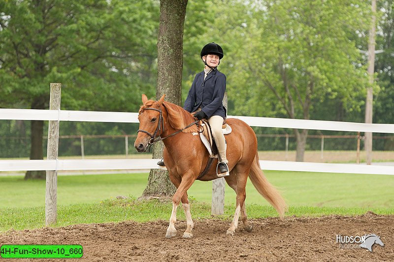 4H-Fun-Show-10_660.jpg