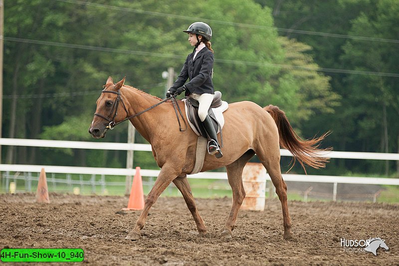 4H-Fun-Show-10_940.jpg