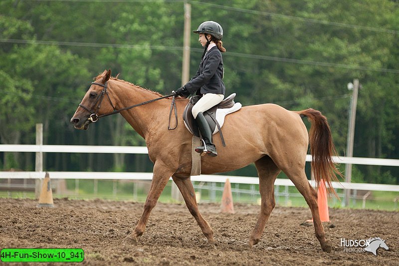 4H-Fun-Show-10_941.jpg
