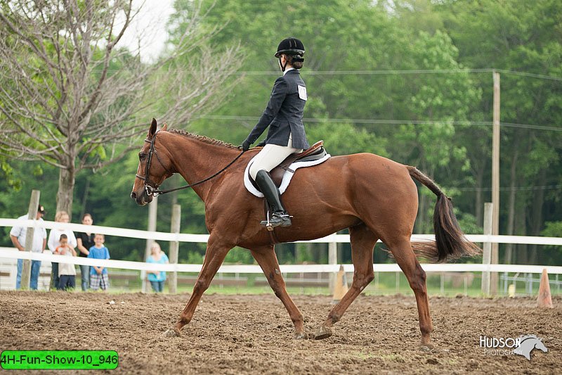 4H-Fun-Show-10_946.jpg