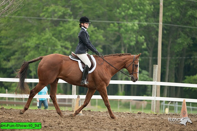 4H-Fun-Show-10_947.jpg