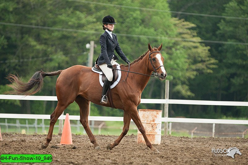 4H-Fun-Show-10_949.jpg