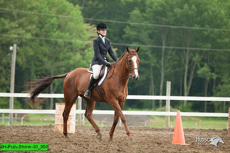 4H-Fun-Show-10_950.jpg