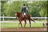 4H-Fun-Show-10_623.jpg