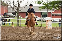 4H-Fun-Show-10_673.jpg