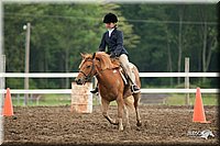 4H-Fun-Show-10_936.jpg