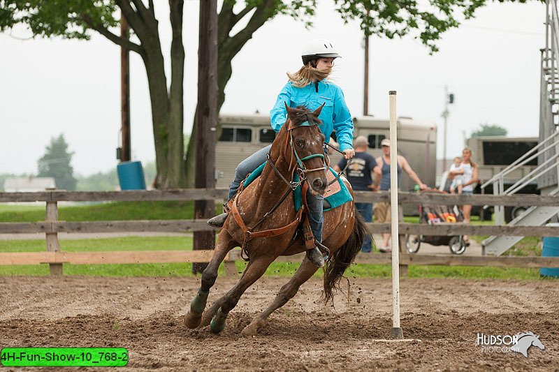 4H-Fun-Show-10_768-2.jpg