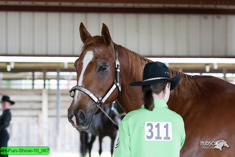 4H-Fun-Show-10_067.jpg