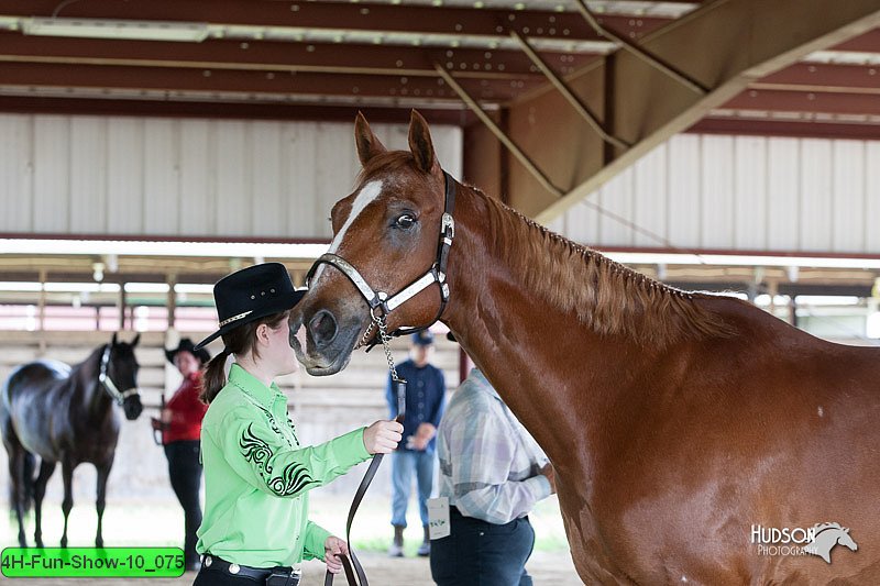 4H-Fun-Show-10_075.jpg