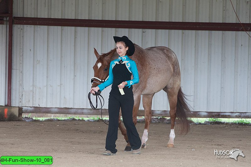 4H-Fun-Show-10_081.jpg