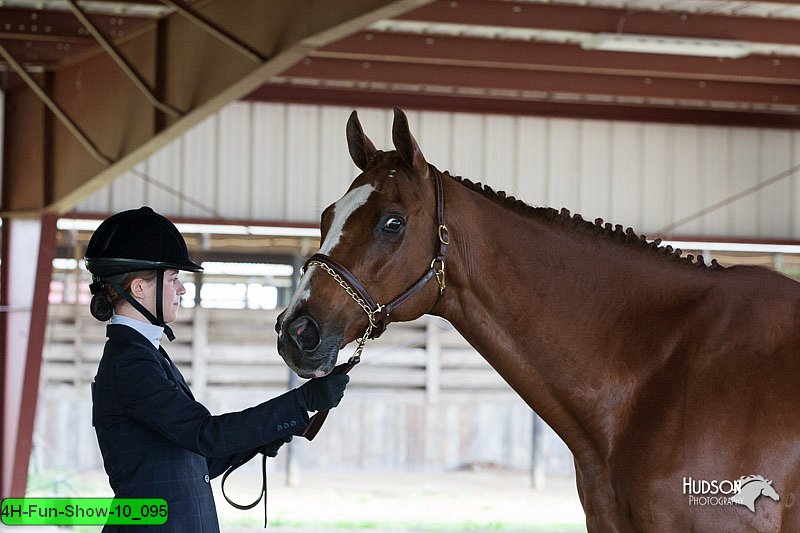 4H-Fun-Show-10_095.jpg