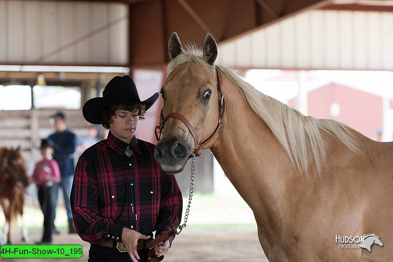 4H-Fun-Show-10_195.jpg