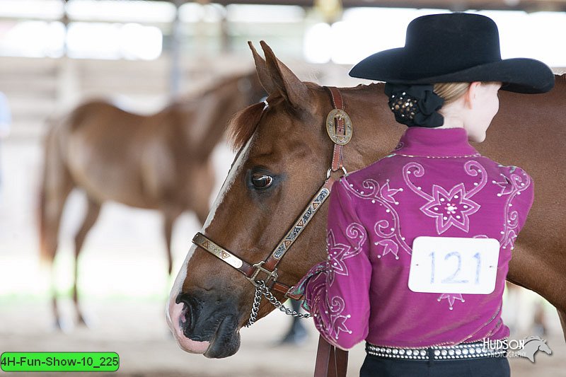 4H-Fun-Show-10_225.jpg
