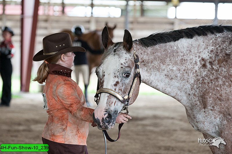 4H-Fun-Show-10_239.jpg