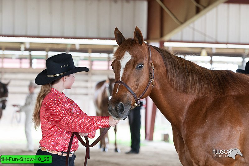 4H-Fun-Show-10_251.jpg