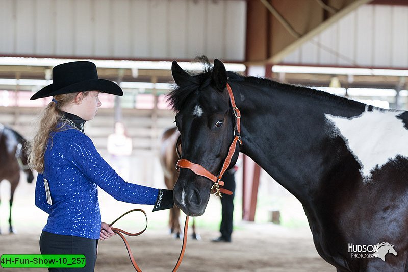 4H-Fun-Show-10_257.jpg