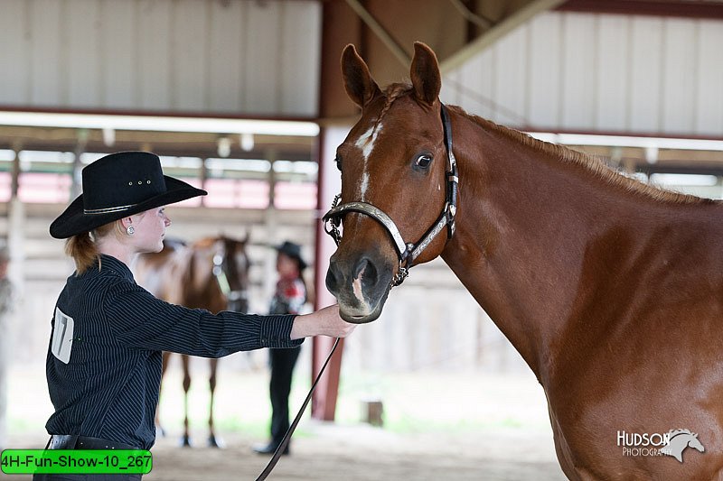 4H-Fun-Show-10_267.jpg