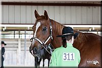 4H-Fun-Show-10_067.jpg